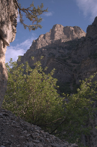 Forsaken Edge by LeBaroDea, To me, Rock Canyon is a fantastical dream that sometimes happens while I am awake. It is family to m