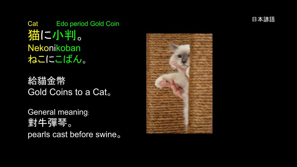 諺語 Proverbs: 猫に小判
