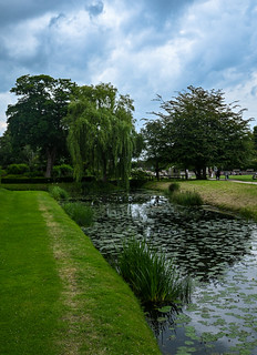 The Moat and the Willow