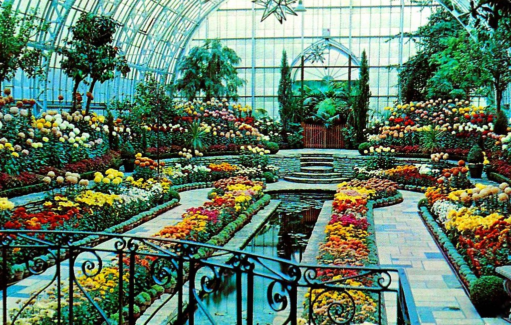 Old Saint Paul Minnesota Postcard - A Flower Show At The Como Park Conservatory, Published By Northern Minnesota Novelties, Made By Dexter Press, Circa 1957 - 1958 Based On Dexter Press Coding