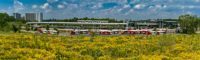 OC-Transpo's Alstom Citadis Spirit in Hurdman with fields in Faircrest Heights filled with yellow flowers of Trefoil
