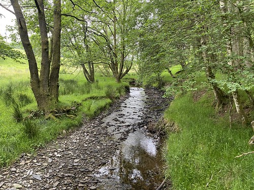 Glyndwyr Way Abbeycwmhir to Llanidloes