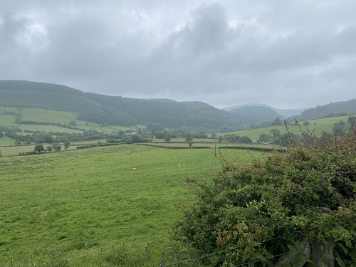 Glyndwyr's Way Abbeycwmhir to Llanidloes