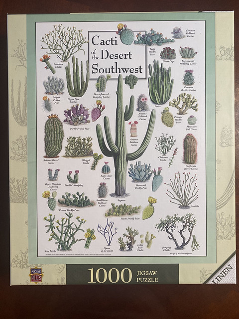 'Cacti of the Desert Southwest' by MasterPieces