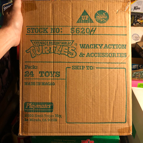 Case of Turtles | by jeffliebig