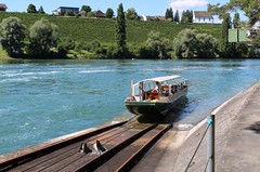 17. Juli 2016 Klubausflug an den Rheinfall mit Züchterhöck