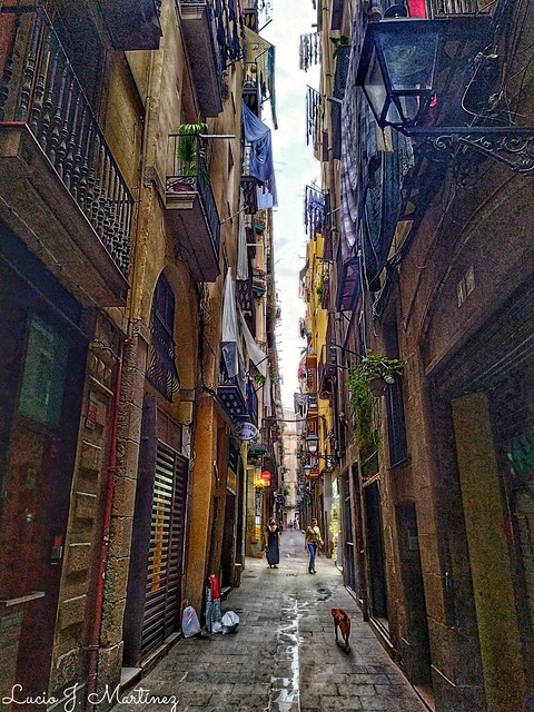 Calles de Barcelona. Carrer de la Mare de Déu del Pilar