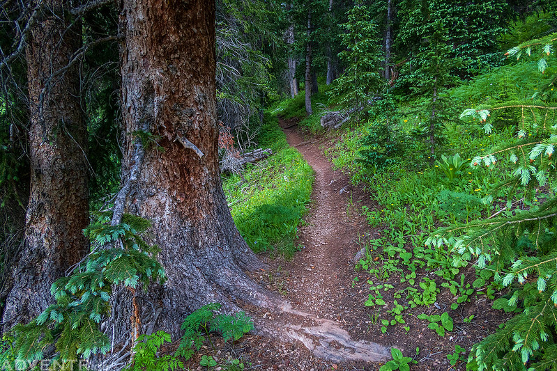 The Colorado Trail