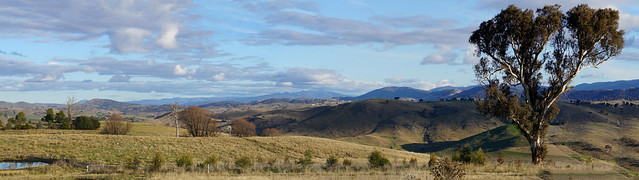 Four image stitch looking South to Uriarra and Tidbinbilla