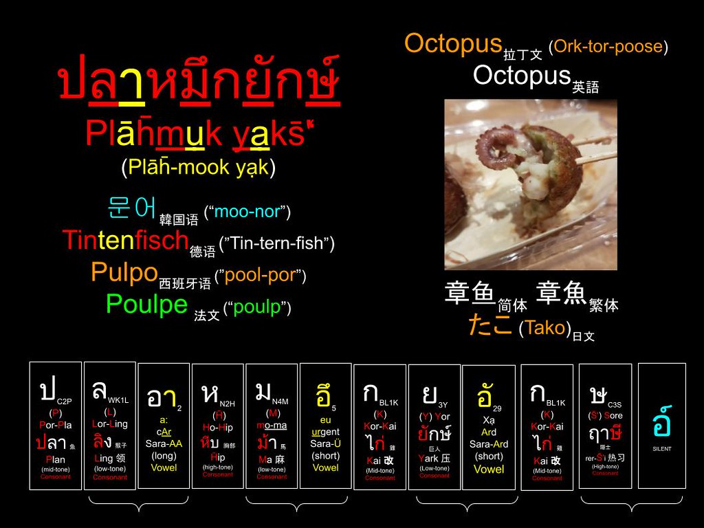 Word of the Day : ปลาหมึกยักษ์ (Plāh̄-mụrk yạk) 章鱼 (章魚) たこ (Tako) Octopus 문어 (“moo-nor”) Tintenfisch Sotong Gurita