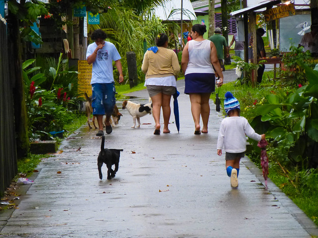Costa Rica - rainy day in Tortuguero