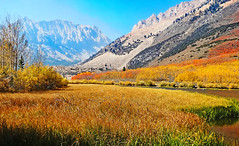 Autumn Colors at North Lake, Sierra Nevada 2020