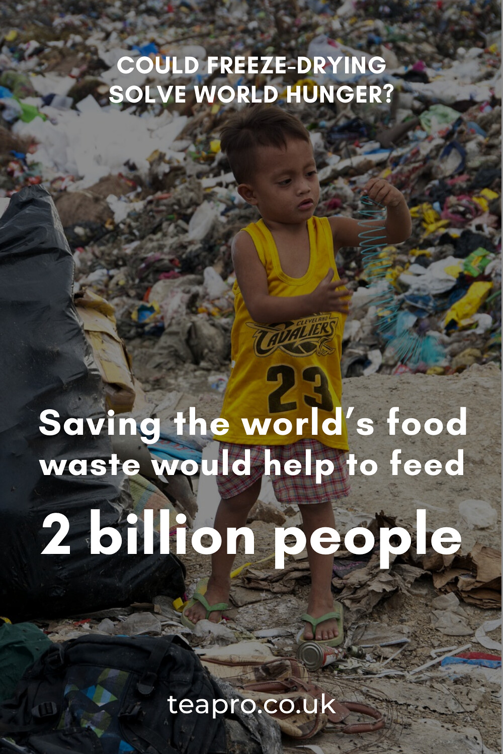saving the world's food waste would help to feed 2 billion people