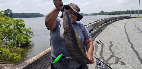 Photo of woman holding up a snakehead