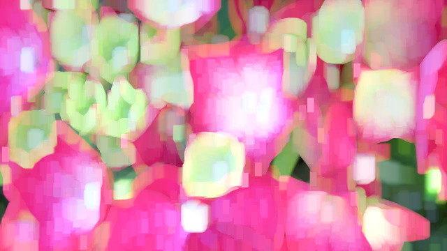 spring flowers abstract