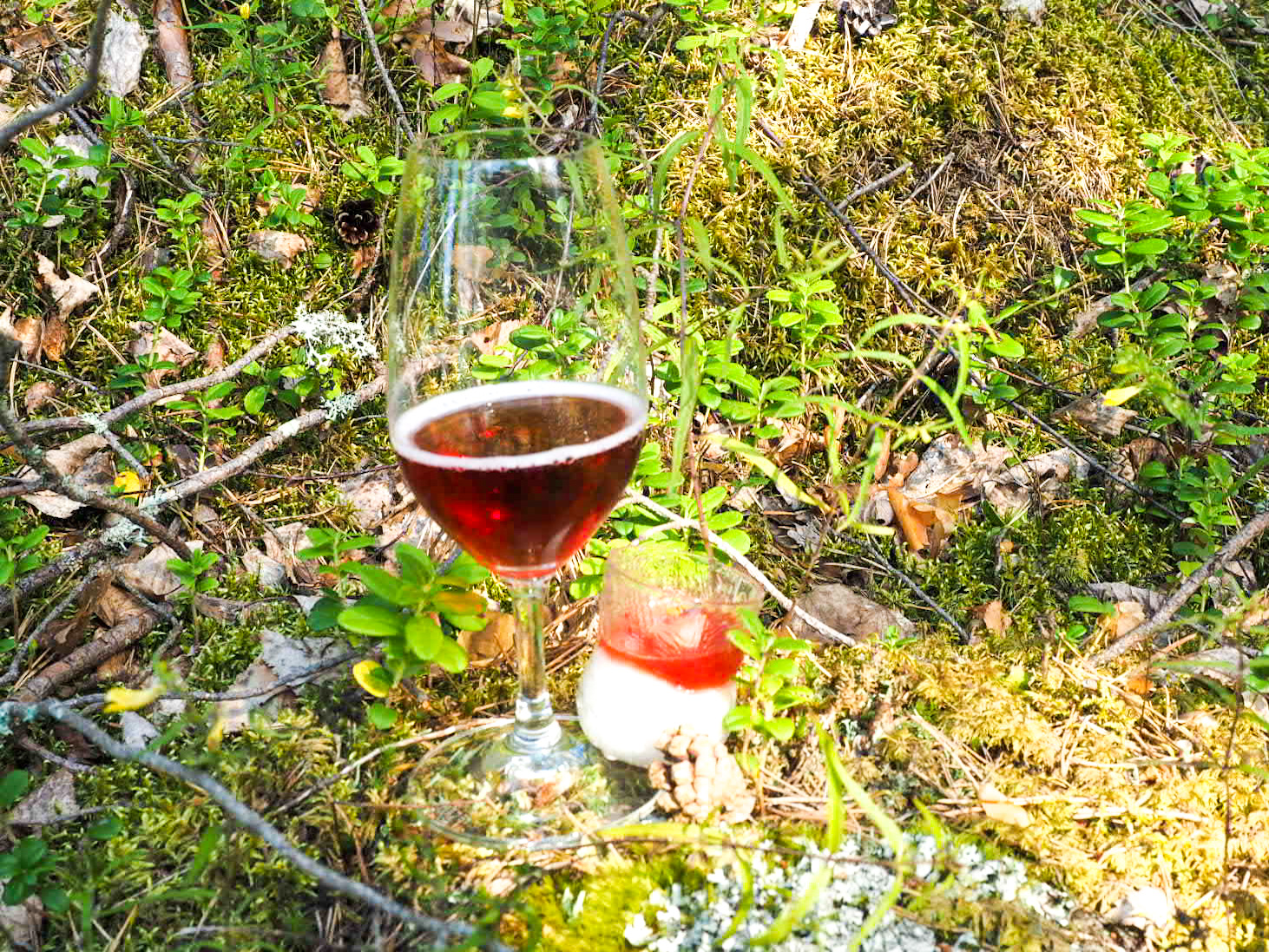 Wine in the Woods