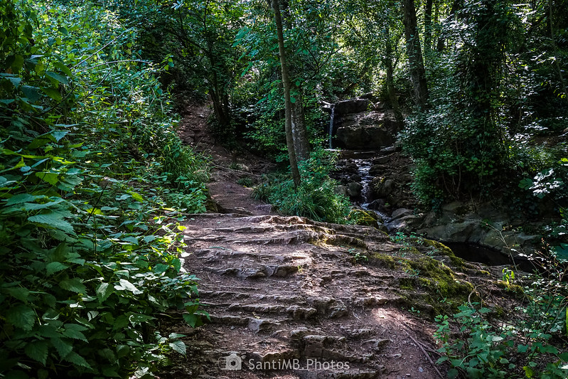 Llegando al Gorg de Can Bosc en la Ruta dels Arbres de Vallcàrquera