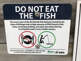 Do not eat the fish