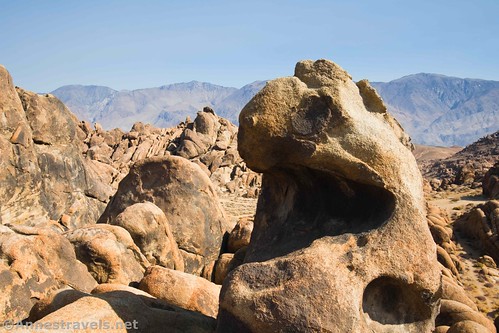 One of the crazier rock formations I found.  Is it just me, or does it look like a singing monster?  Alabama Hills National Scenic Area, California