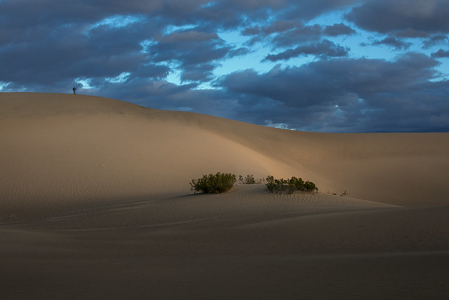 Dunes at dawn