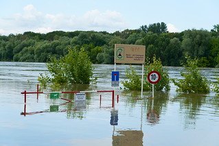 Hochwasser am Rhein | die Macht des Wasser ist schon erschre… | Lutz ...