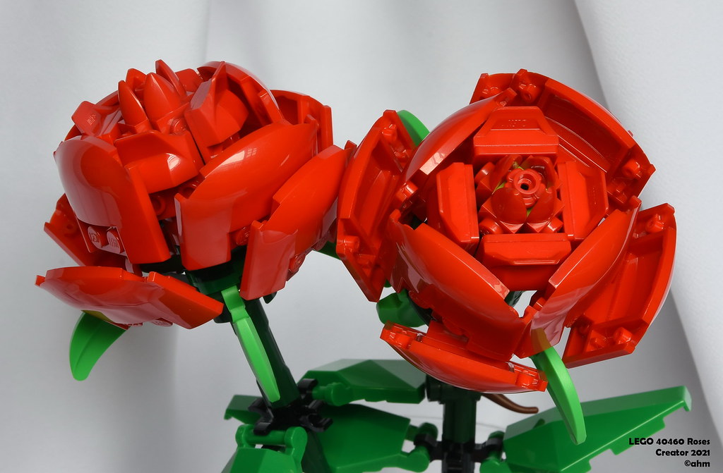 LEGO 40460 Roses, LEGO 40460 Roses Creator 2021, Hamid