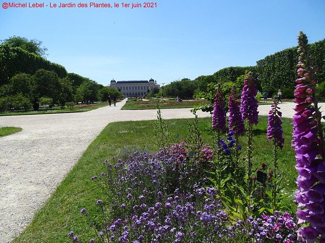 Le Jardin des Plantes de Paris - La grande perspective à la française (4)