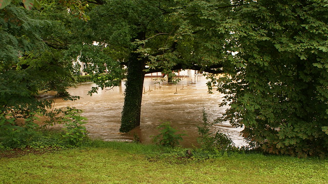 High Water in Miesenheim July 15th 2021 025