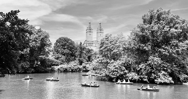 Central Park in Black and White