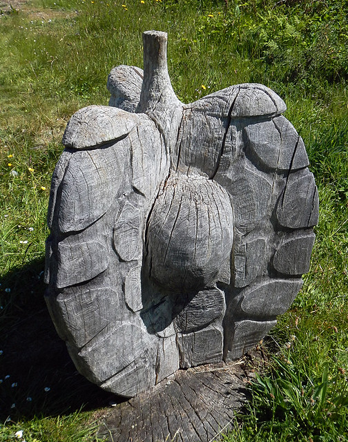 A giant seed carved out of wood in Holyhead, Wales