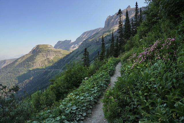 Early morning on the High-line Trail, Glacier National Park