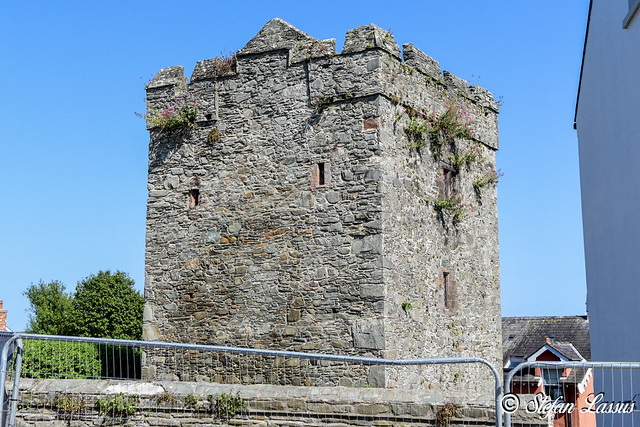 Strangford Castle County Down