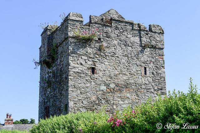 Strangford Castle County Down