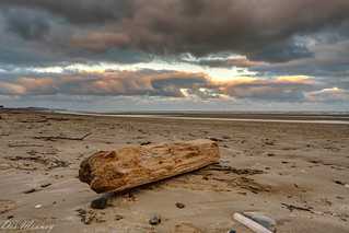 Driftwood on Lurganboy Beach