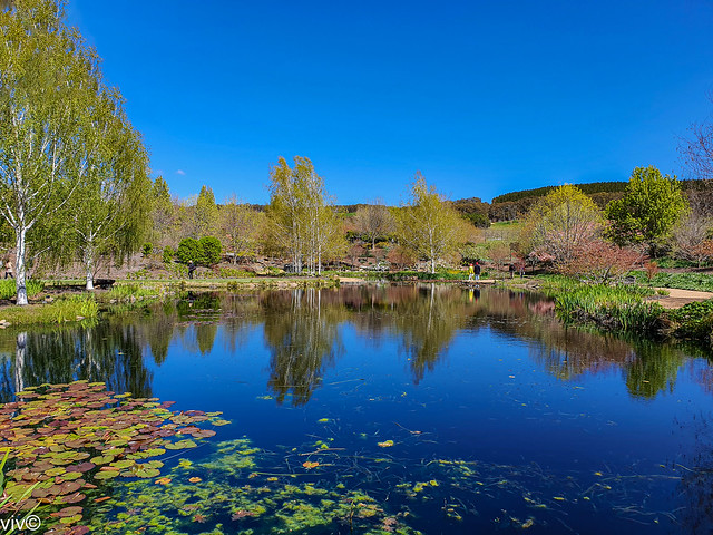 Picturesque Mayfield gardens on a sunny spring morning, Oberon, New South Wales, Australia