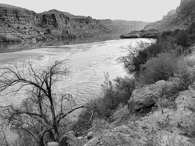 Colorado River 1 bw