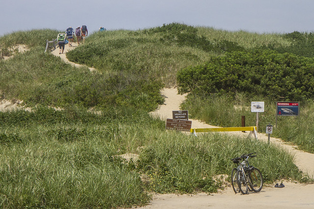 The Start of the Dune Path