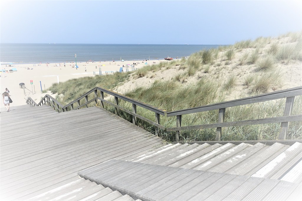 Stairway to the beach.