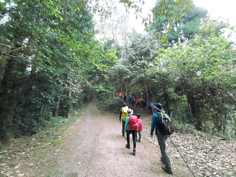 Hunters Trail in Wangxiang Nantou