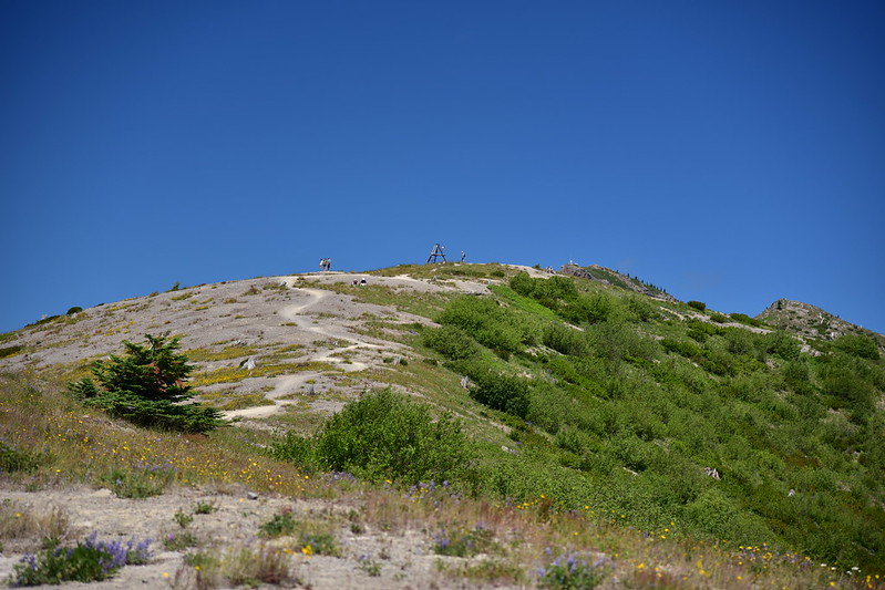 Harry's Ridge Hike