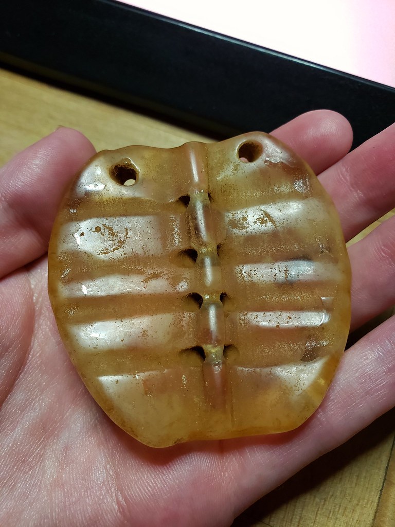 Flat Stone Turtle Shell 202/365 | Stone turtle shell | agirlnamednee | Flickr