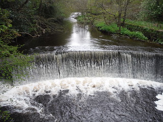 Weir on River Dane, from footbridge by Gig Hall SWC Walk 381 - Macclesfield Circular (via the Dane Valley)