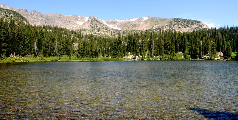 Lower Forest Lake (1)