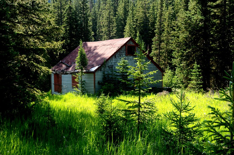 The cabin along the trail
