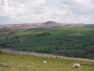 Shutlingsloe and the High Moors beyond, from descent off Croker Hill SWC Walk 381 - Macclesfield Circular (via the Dane Valley)