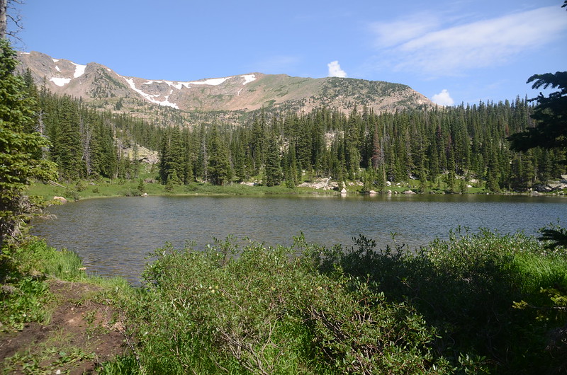 Lower Forest Lake (3)