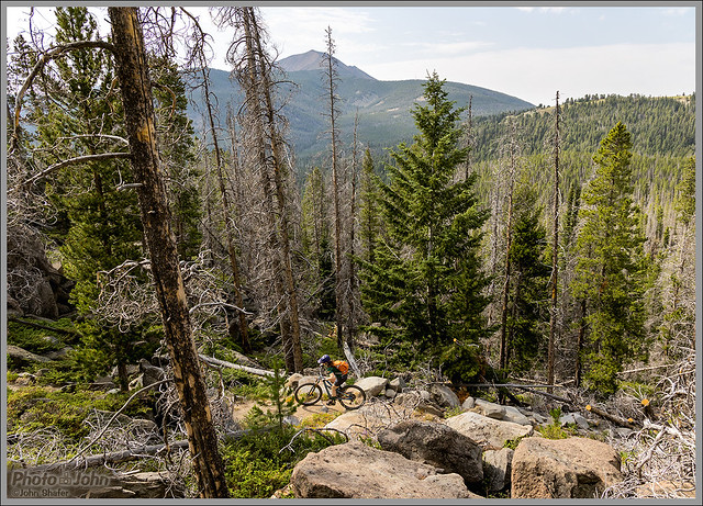 Mountain Biking - Continental Divide Trail, Montana