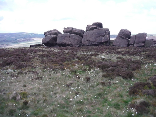 Cotton Grass and Gritstone Boulders: The Roaches SWC Walk 388 - Upper Hulme to Macclesfield