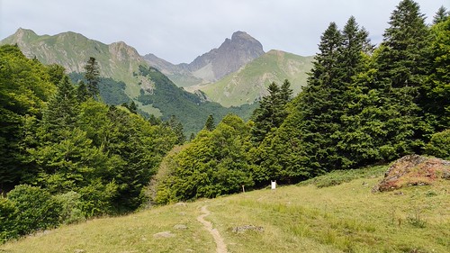IMG_20210723_105826