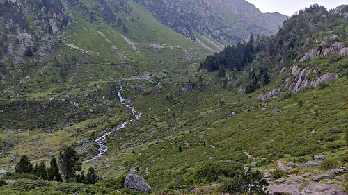 IMG_20210720_072634